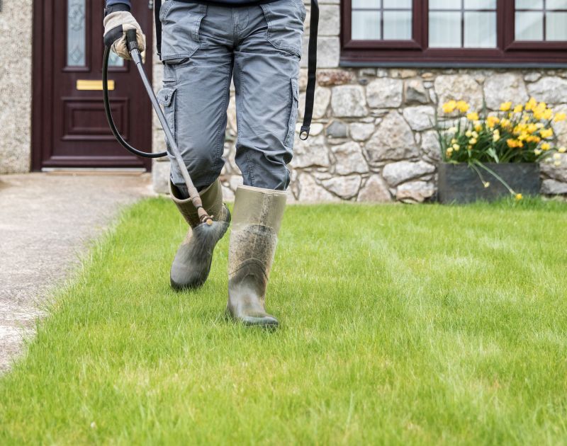 Lawn Care And Landscaping Service